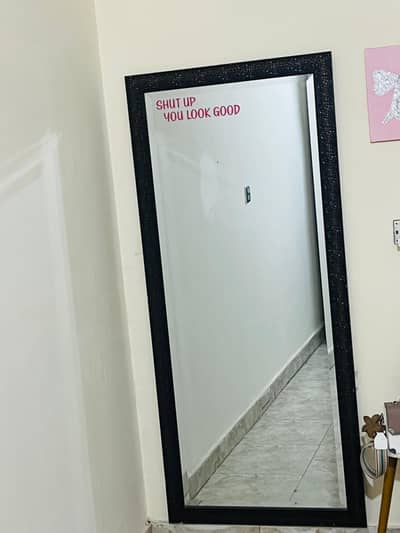 5 ft Long Mirror