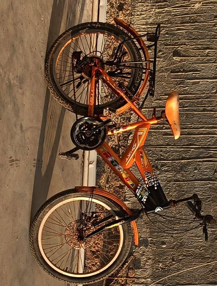 Trigon beautiful cycle 0