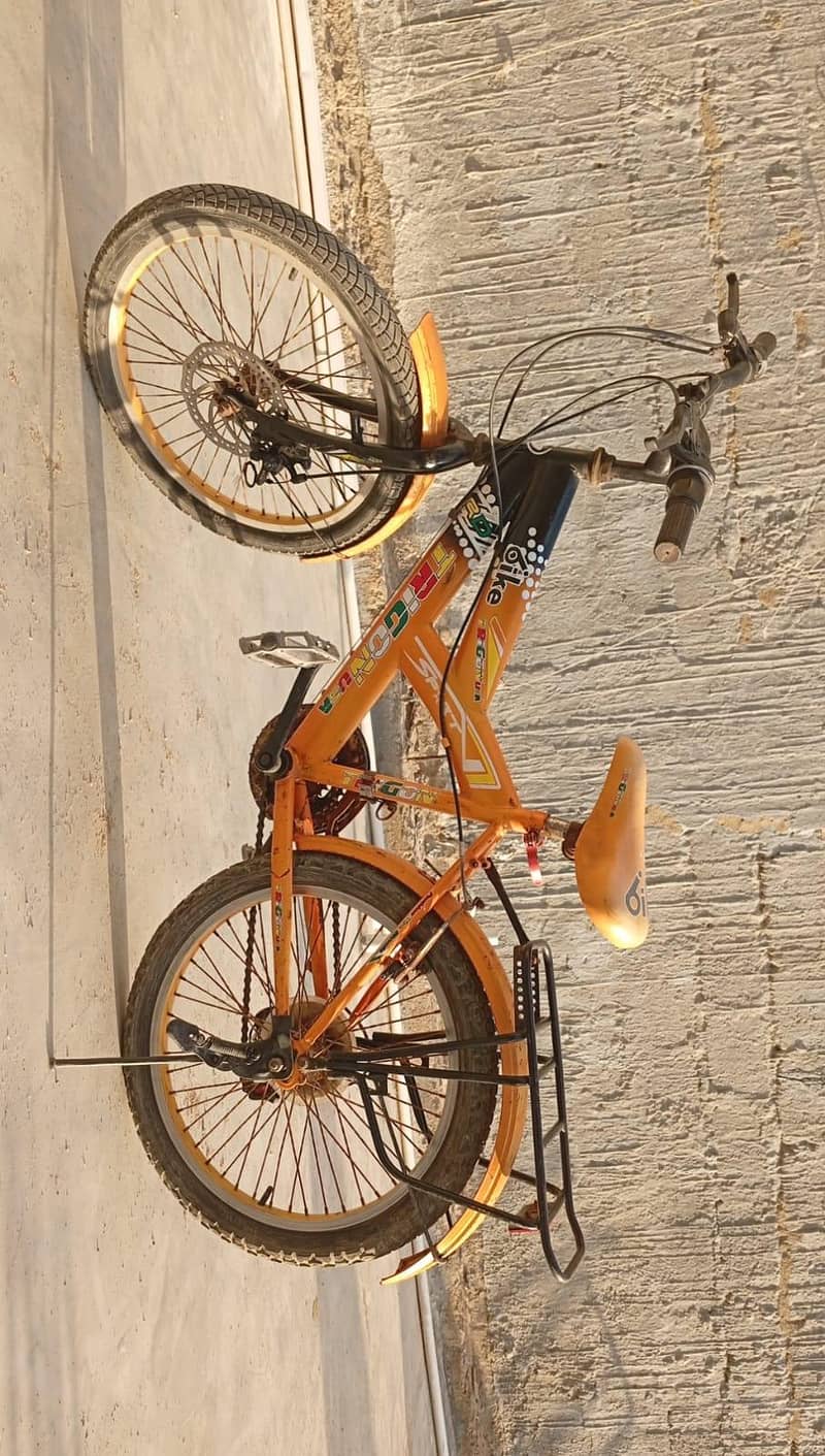 Trigon beautiful cycle 1