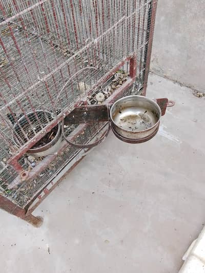 6000 sa Kam walty rabta na kary