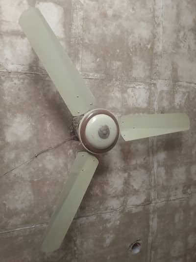 Ceiling Fan Local – Good Working Condition