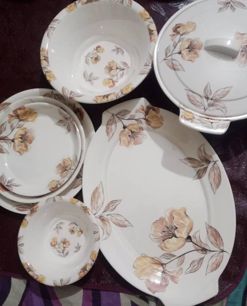 Dinner set 1