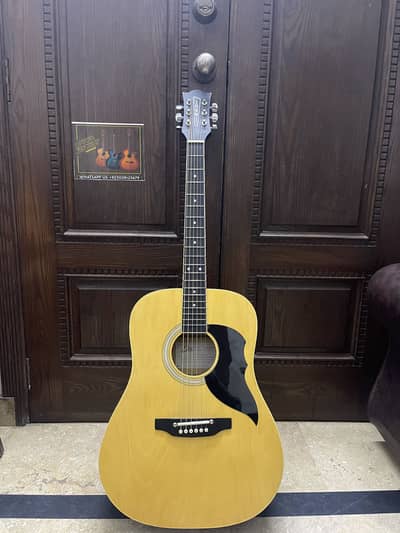Eko Guitar || Acoustic Double Truss rode|| Jumbo Size || Accessories