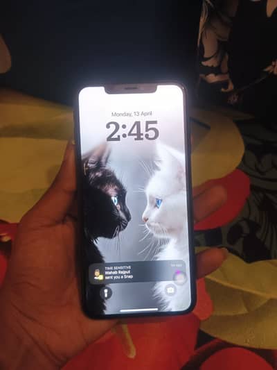 Xs maxx non pta 256 GB 1x blar battery change baki all ok (03056892669