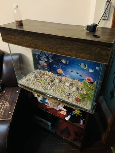Aquarium With Table