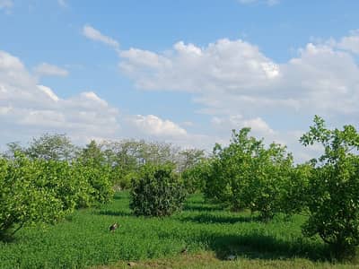 52 Acr Agriculture Land for Sale