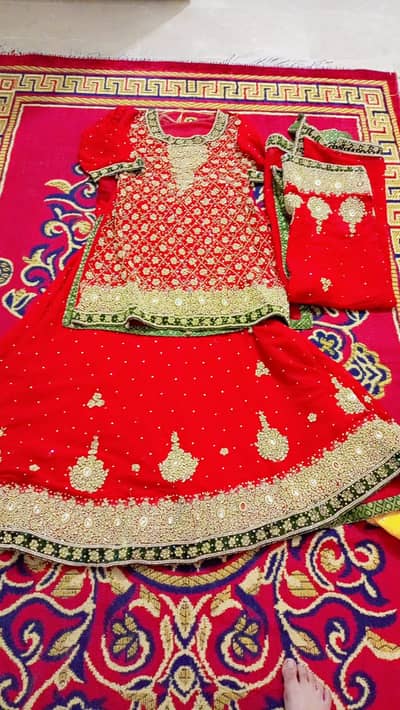 bridle condition 10 out of 10