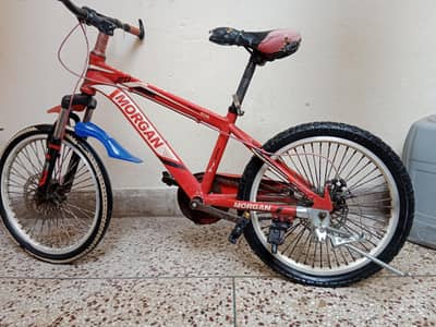 Morgan Cycle Size 20