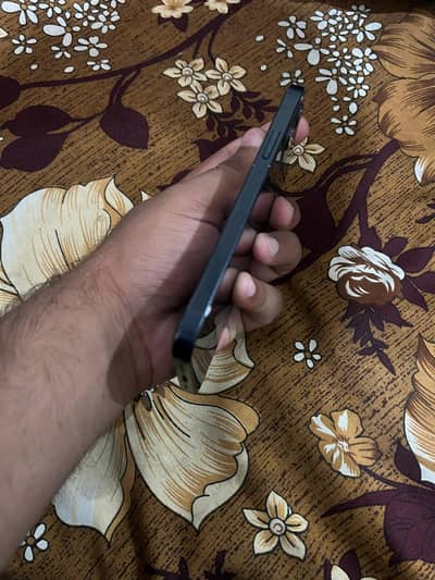 I phone 12 water pack battery health 88