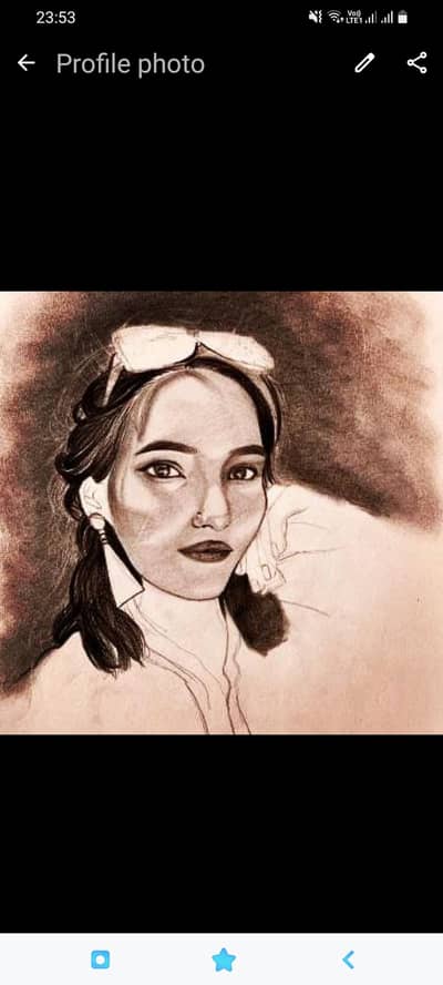 sketch/landscape/calligraphy/portraits