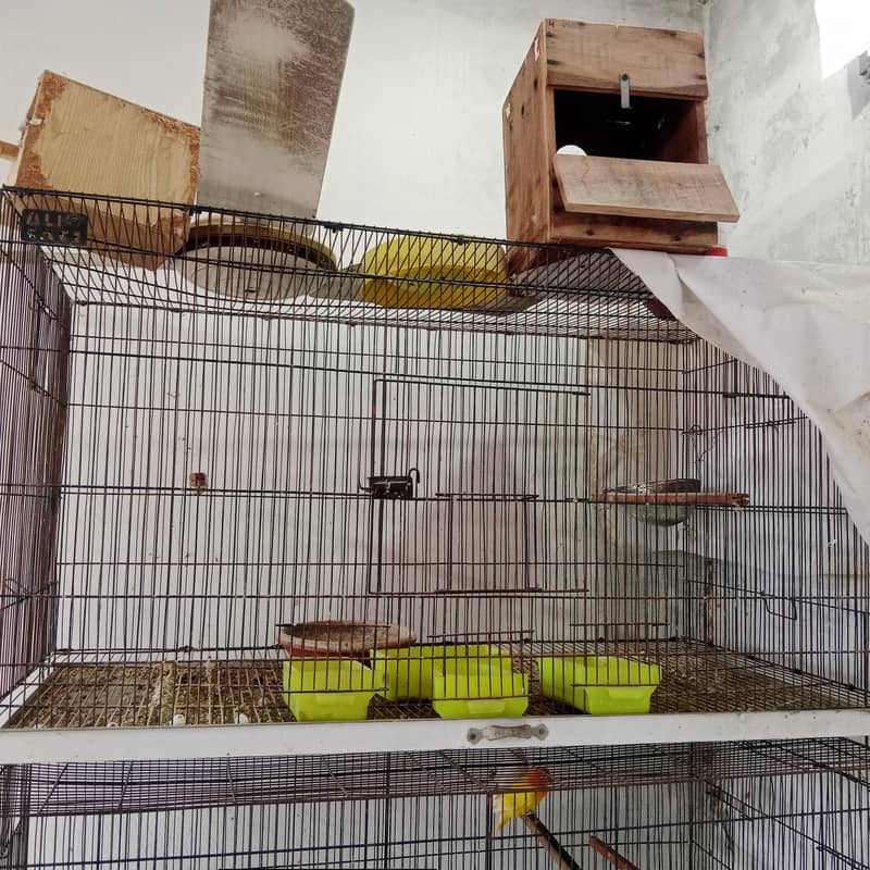 4 portion cages  fixed and portable 0