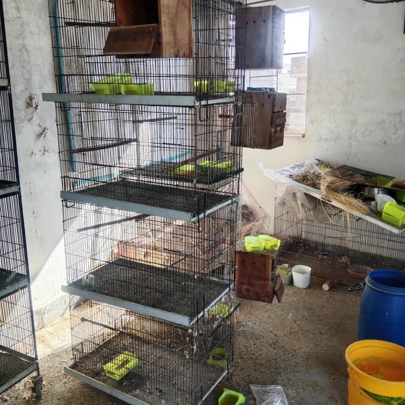 4 portion cages  fixed and portable 2