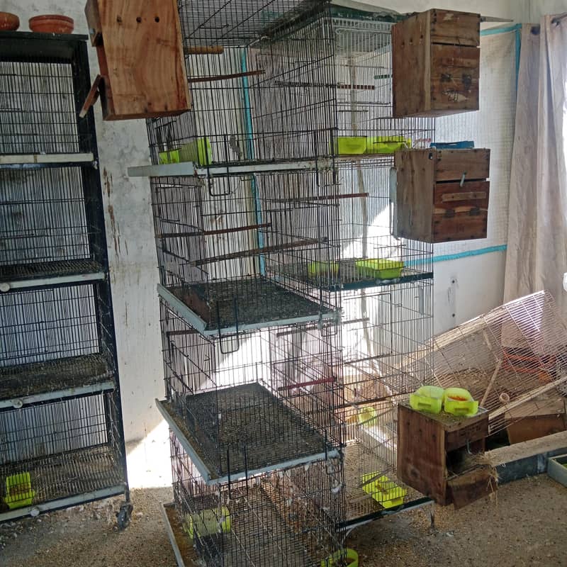 4 portion cages  fixed and portable 3
