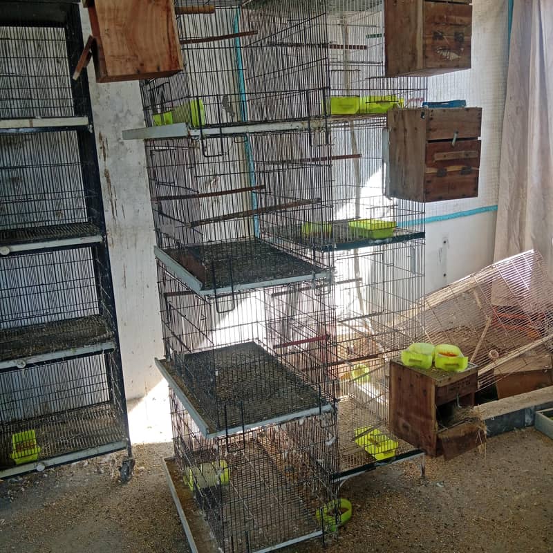 4 portion cages  fixed and portable 6
