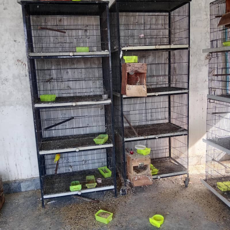 4 portion cages  fixed and portable 7