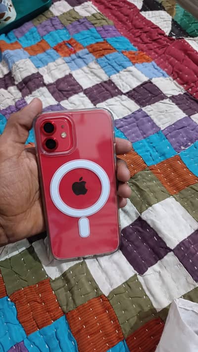 Iphone 12 red  colour