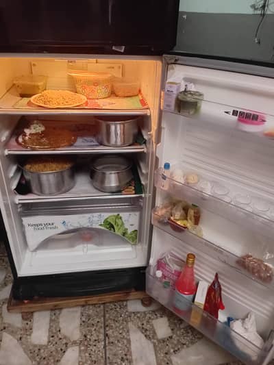 refrigerator 10 by 10