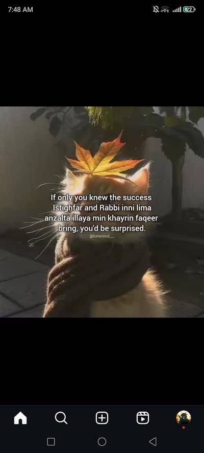 airport issue solver