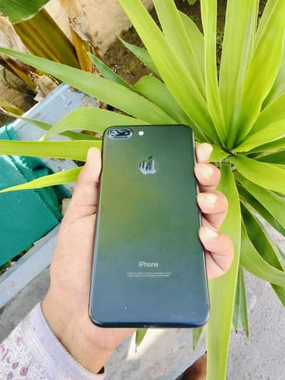 iphone 7plus pata approved read add please