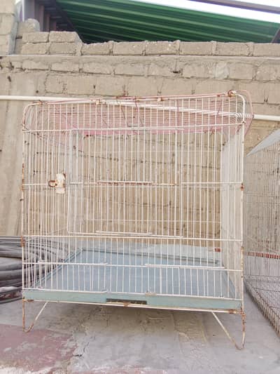 cages for hens and birds