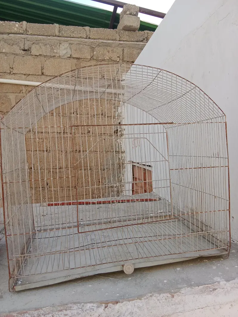 cages for hens and birds — photo 2