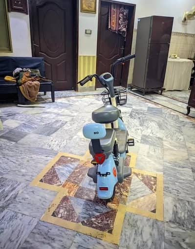 any Details WhatsApp