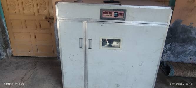 incubator 1600 eggs heachry