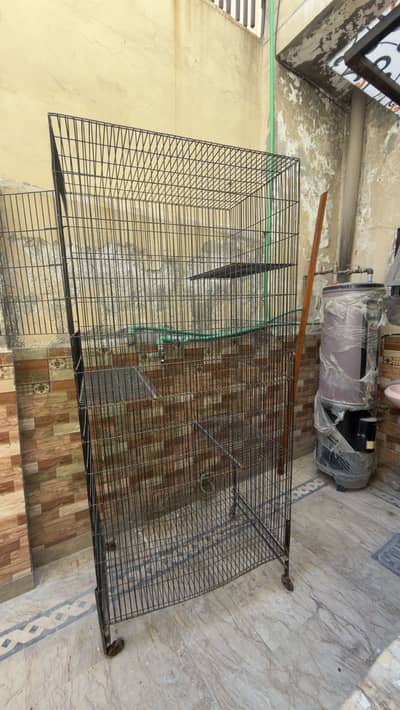 Parrots Cage Huge Size