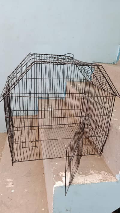 1.7 x 1 ft cage available