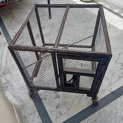 Raw parrot cage