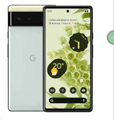Google Pixel 6