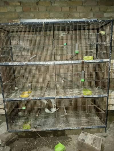 Parot &Bird Cages