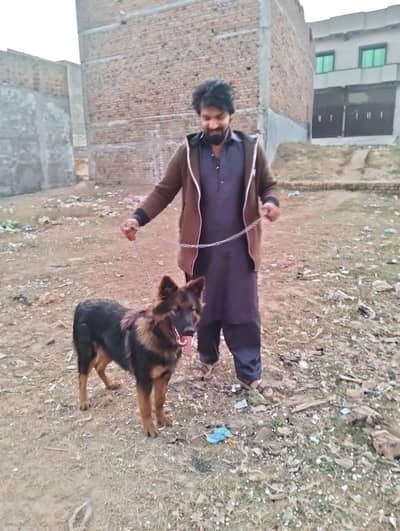 jis NY lyni h rabta kry 03406000543