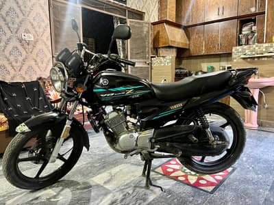 Yamaha YB 125Z-DX 2023 available for sale