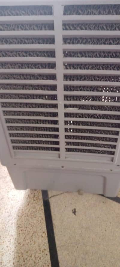 2025 modal hai 1 sal chla h