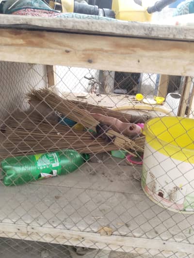 Hen Or Pigeon Box for sale