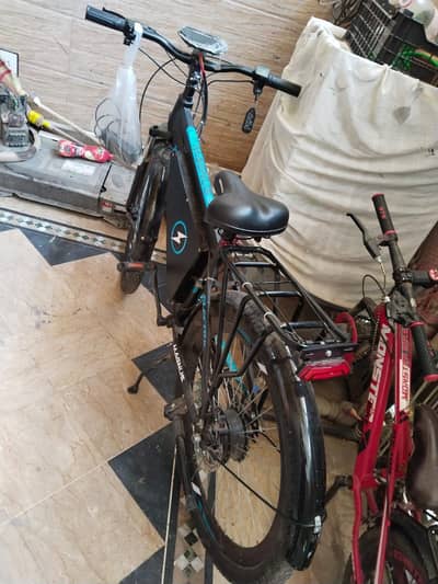 Magnus electric cyclye