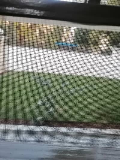 Ideal House In The Heart Of Islamabad