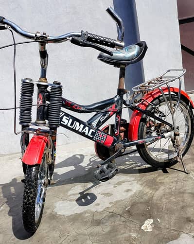 Sumac Imported cycle for Boys (Age 4 -11)