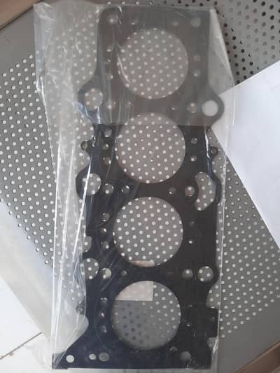 LIANA Genuine Headgaskit