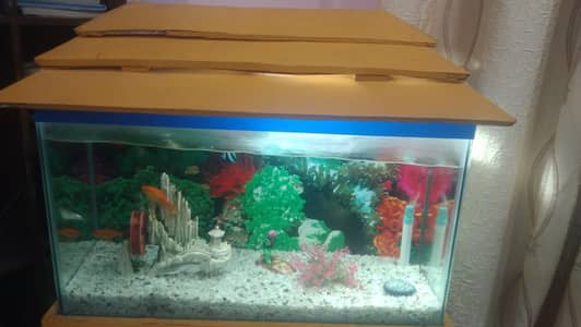 Aquarium Box with Complete Accessories – Neat & Clean