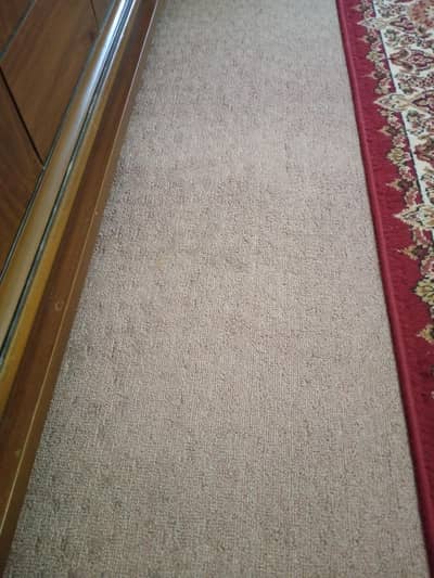 carpet