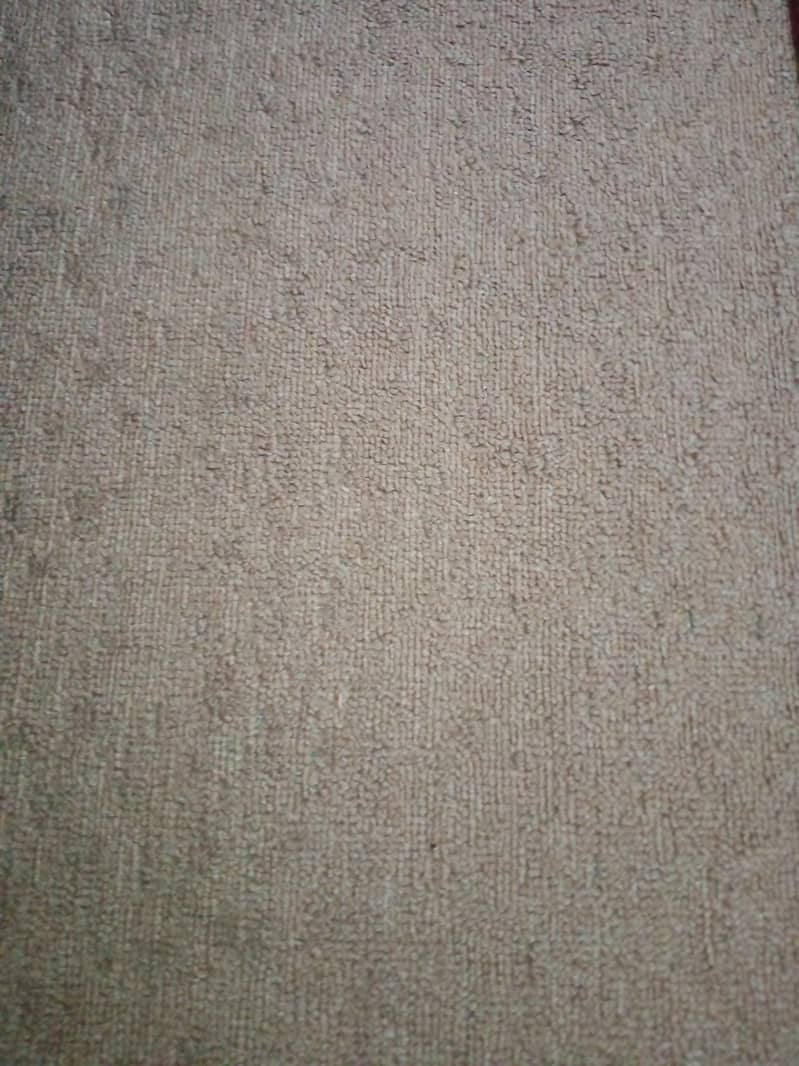 carpet 1