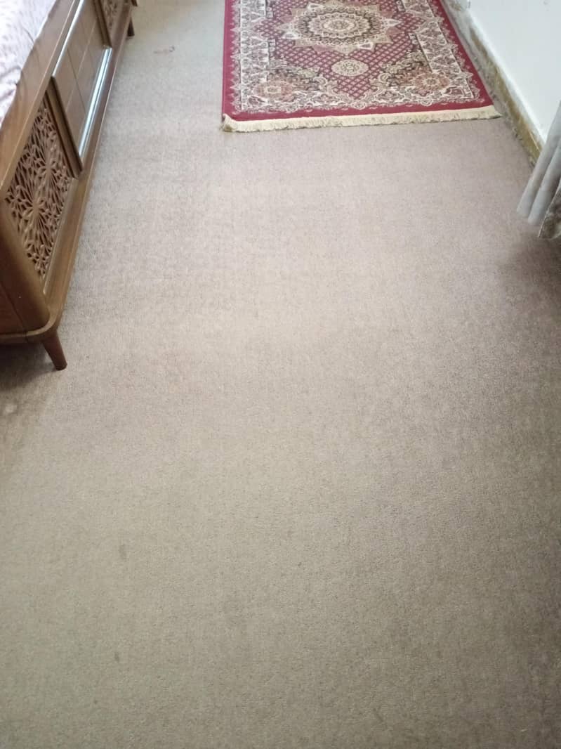 carpet 2