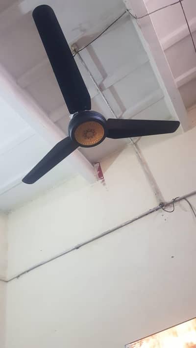 celling fan 12volt
