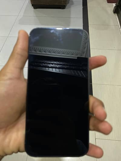 iphone 13 pro max pta approved