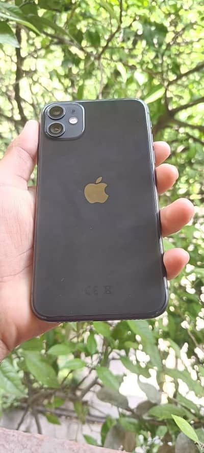 iphone11