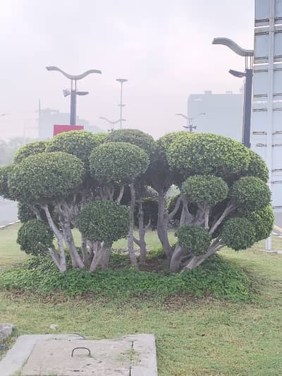 10 Marla possession utility paid plot number 911 G6 for sale