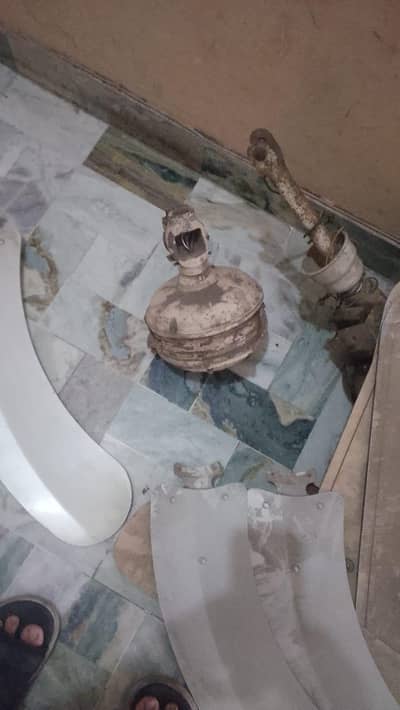 pure copper big fans quantity 03