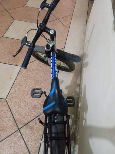 PHOENIX FAT-TIRE BIKE